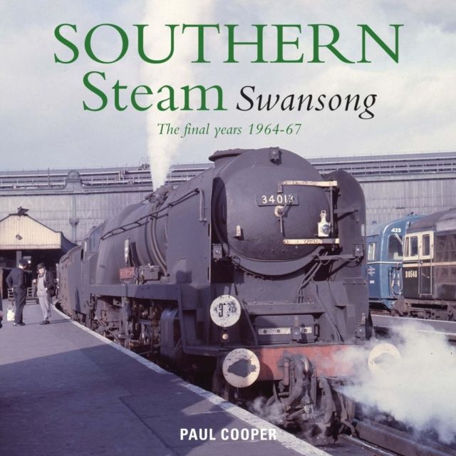 Southern Steam Swansong The Final Years 1964-1967