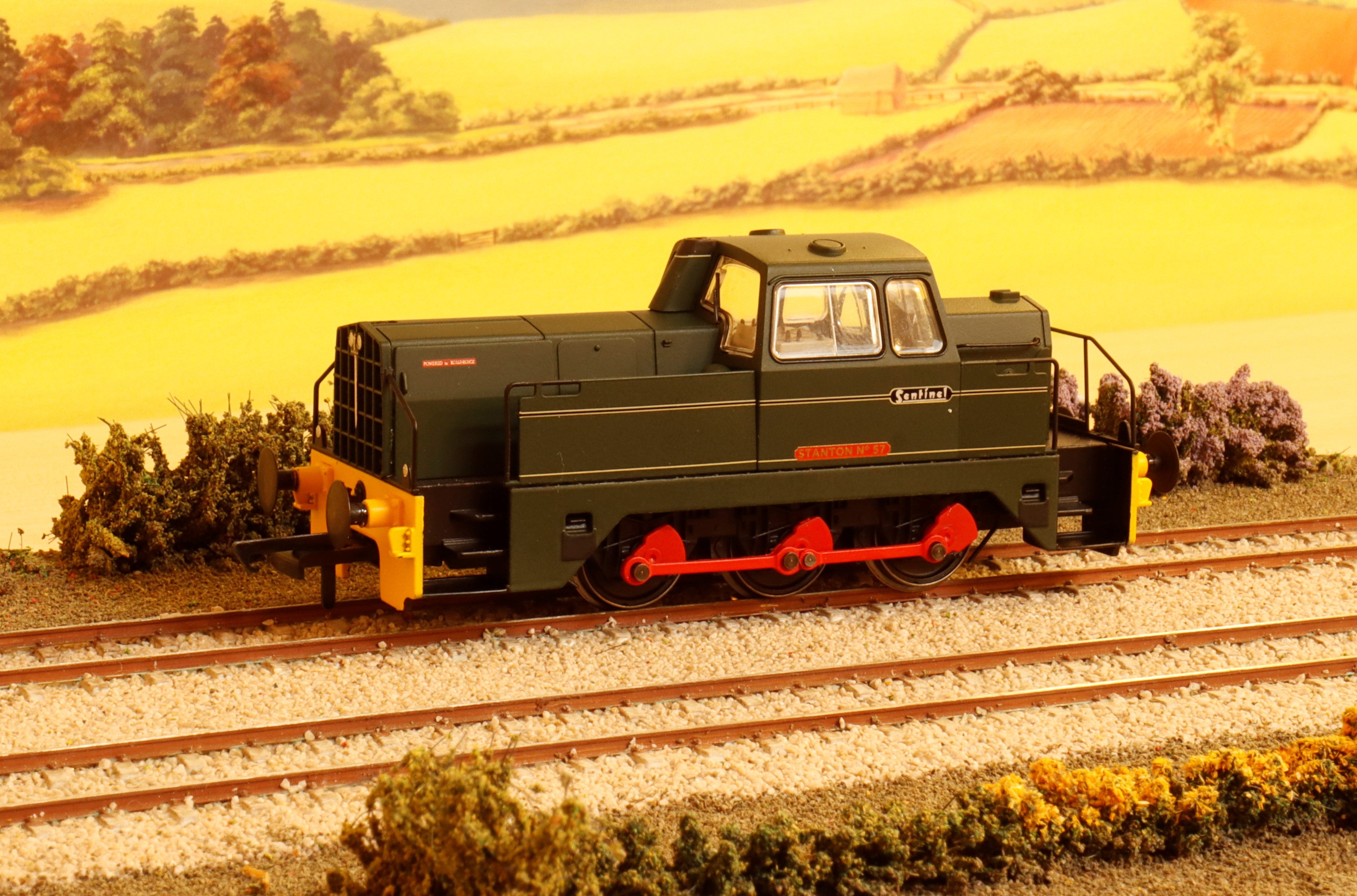 きゃんべる MG_9370_2.jpg?v=1664985869&